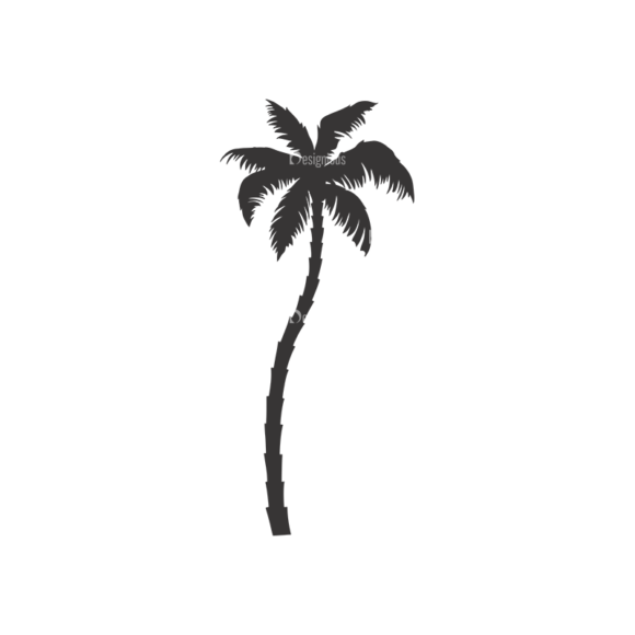 Palm Trees Vector 3 17 1