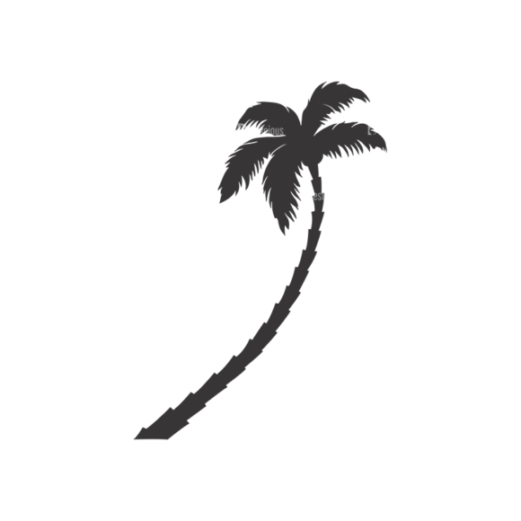 Palm Trees Vector 3 18 1