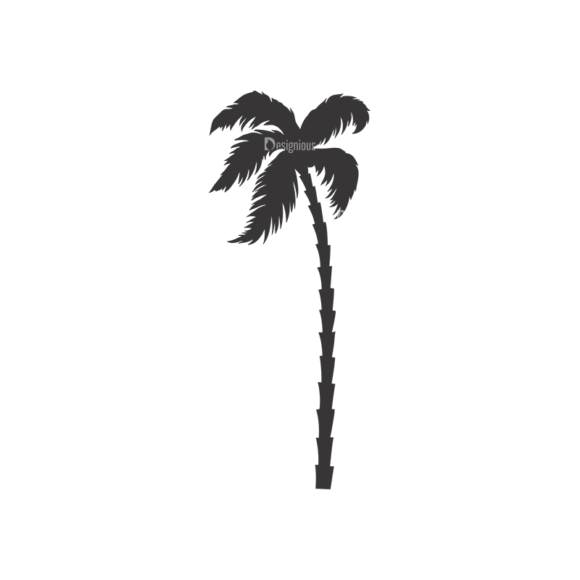 Palm Trees Vector 3 19 1