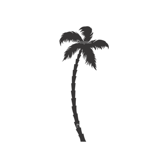 Palm Trees Vector 3 20 1