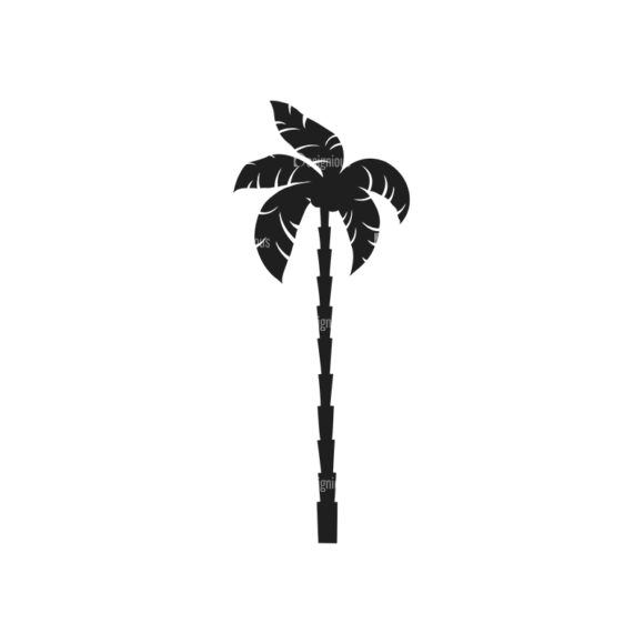 Palm Trees Vector 3 5 1