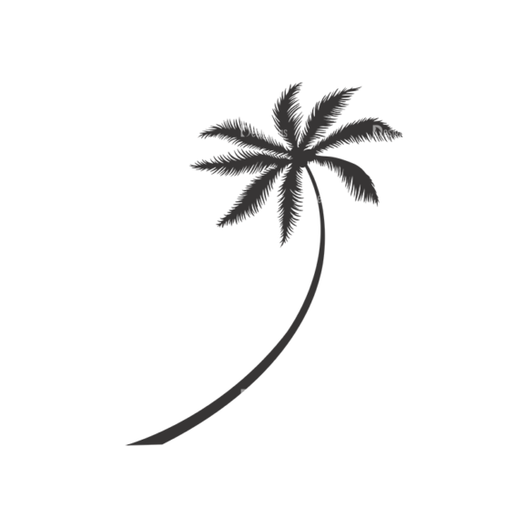 Palm Trees Vector 3 6 1