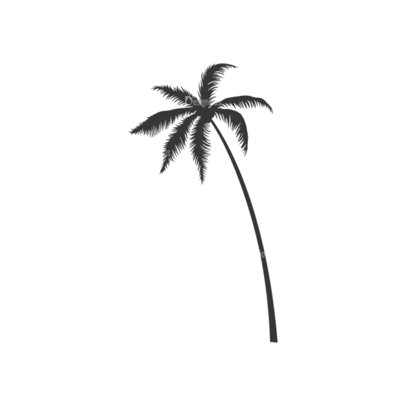 Palm Trees Vector 3 7 1