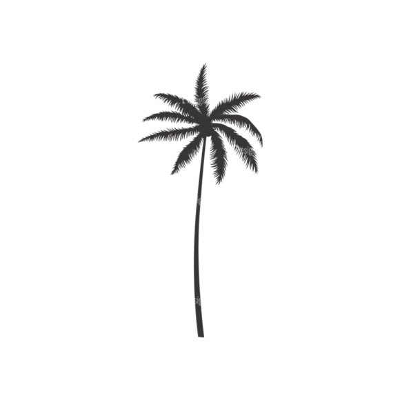 Palm Trees Vector 3 8 1