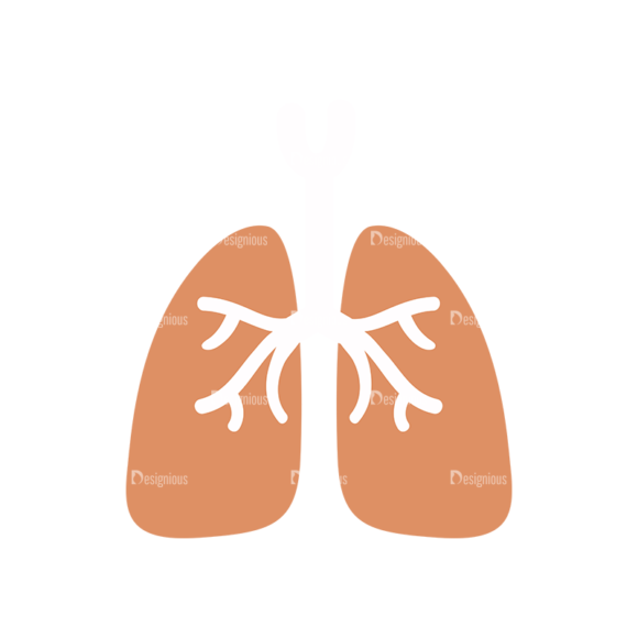 Physician Vector Lungs 1