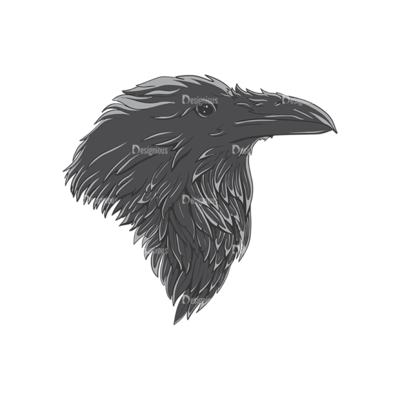 Ravens Vector 1 1 1