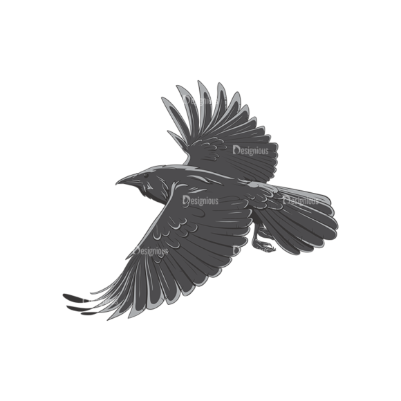Ravens Vector 1 2 1