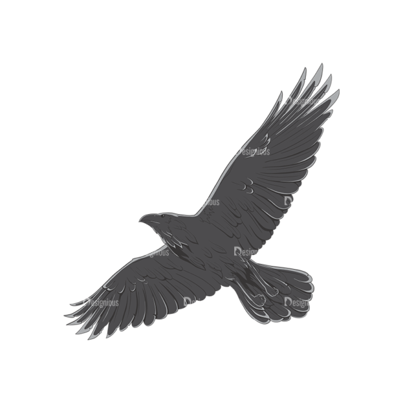 Ravens Vector 1 3 1