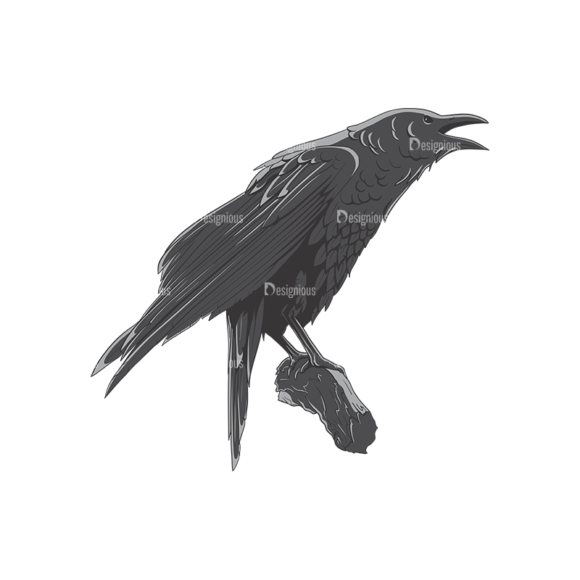 Ravens Vector 1 4 1