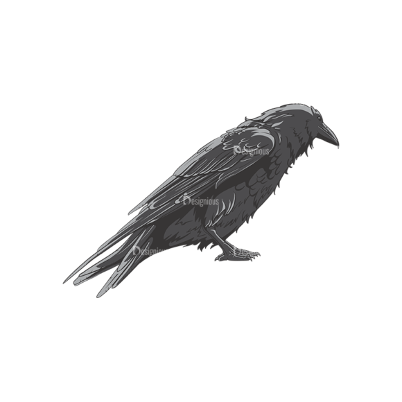 Ravens Vector 1 5 1