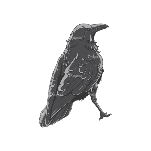 Ravens Vector 1 6 1