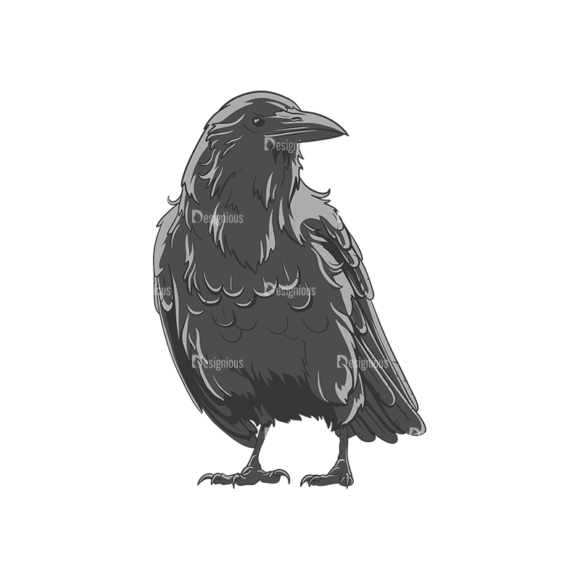 Ravens Vector 1 7 1