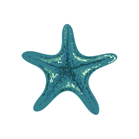 Sea Fauna Vector 3 Vector Star Fish 1