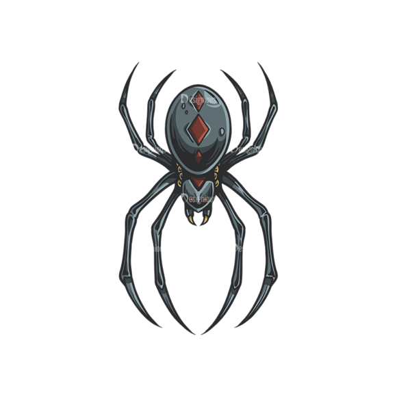 Spiders Vector 1 2 1