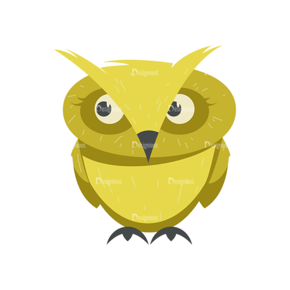 Magic Owl 1