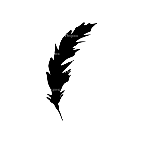 Feathers Set 11 Vector Feather 04 1