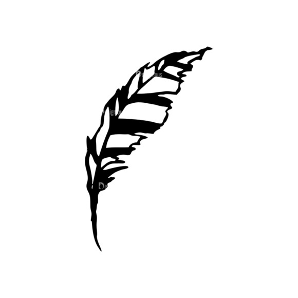 Feathers Set 11 Vector Feather 06 1