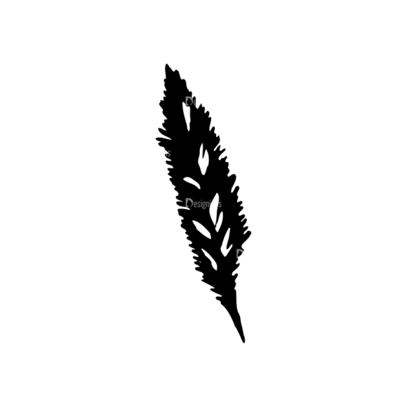 Feathers Set 11 Vector Feather 11 1