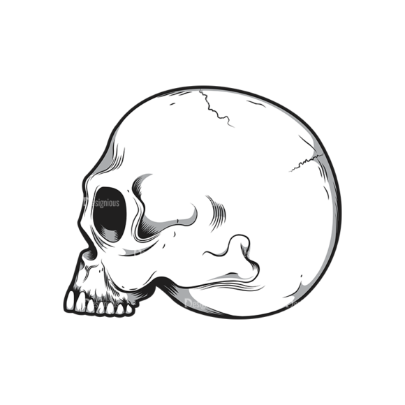 Skull Vector Clipart 10-1 1