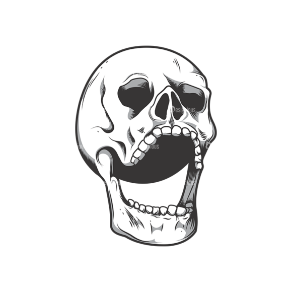 Skull Vector Clipart 10-2 1