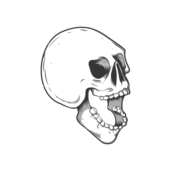 Skull Vector Clipart 10-3 1