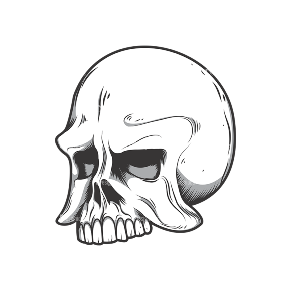 Skull Vector Clipart 10-4 1