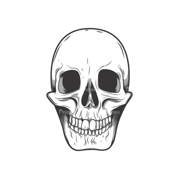 Skull Vector Clipart 10-5 1