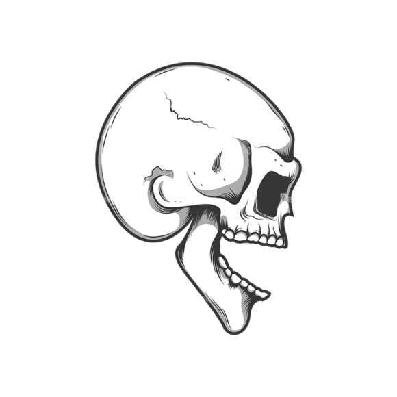 Skull Vector Clipart 10-7 1
