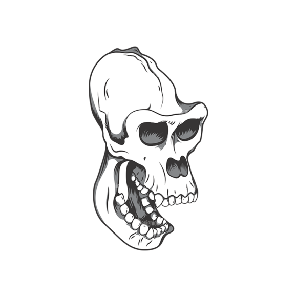 Skull Vector Clipart 12-11 1