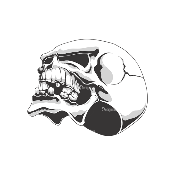 Skull Vector Clipart 18-2 1