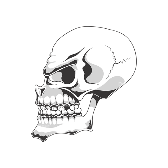 Skull Vector Clipart 18-5 1