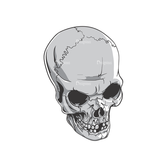 Skull Vector Clipart 19-10 1