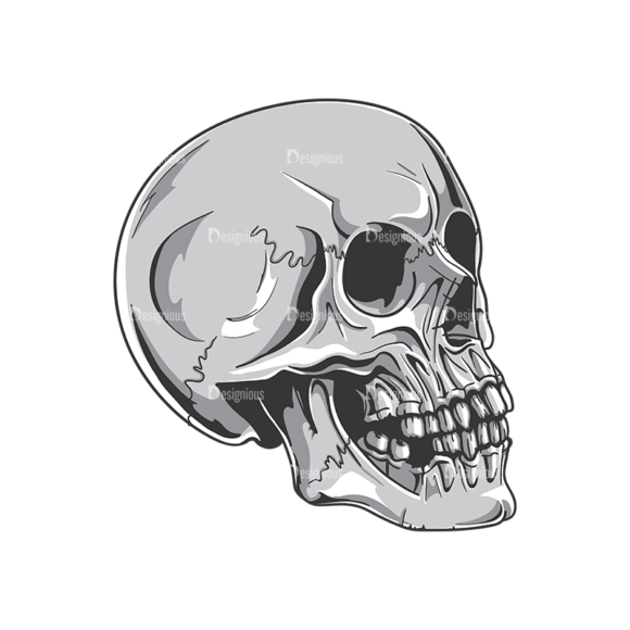 Skull Vector Clipart 19-2 1