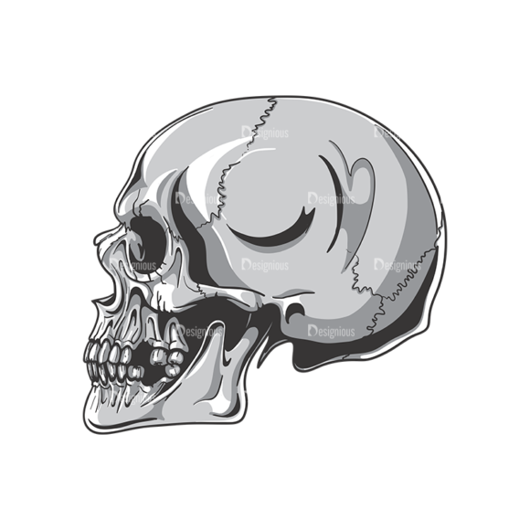 Skull Vector Clipart 19-3 1
