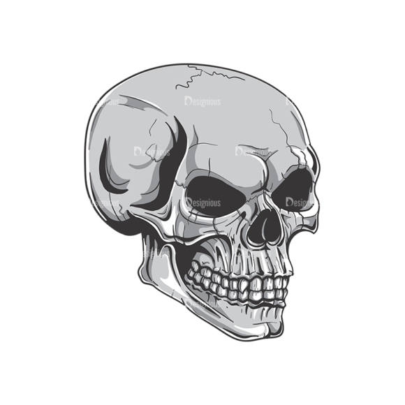 Skull Vector Clipart 19-7 1