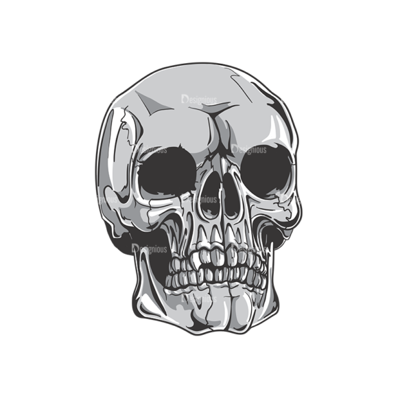 Skull Vector Clipart 19-8 1