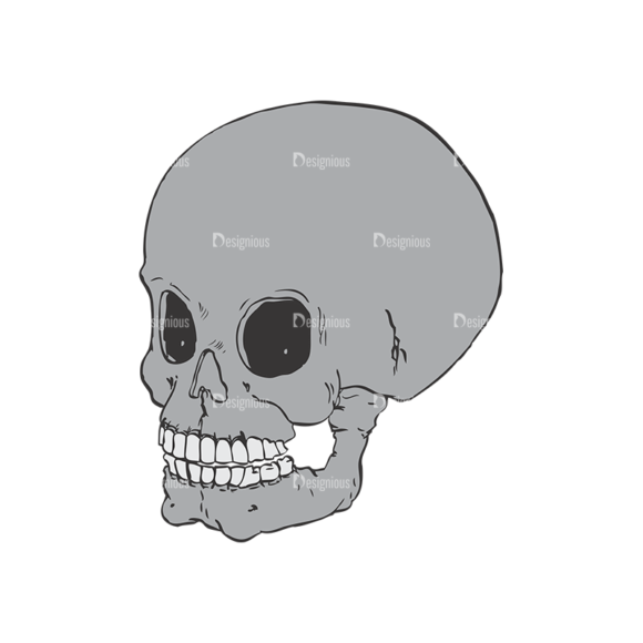 Skull Vector Clipart 2-3 1