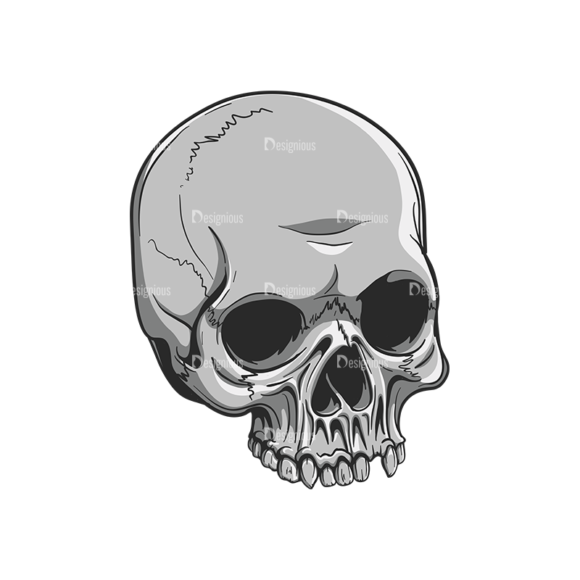 Skull Vector Clipart 20-1 1