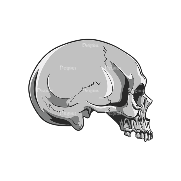 Skull Vector Clipart 20-4 1