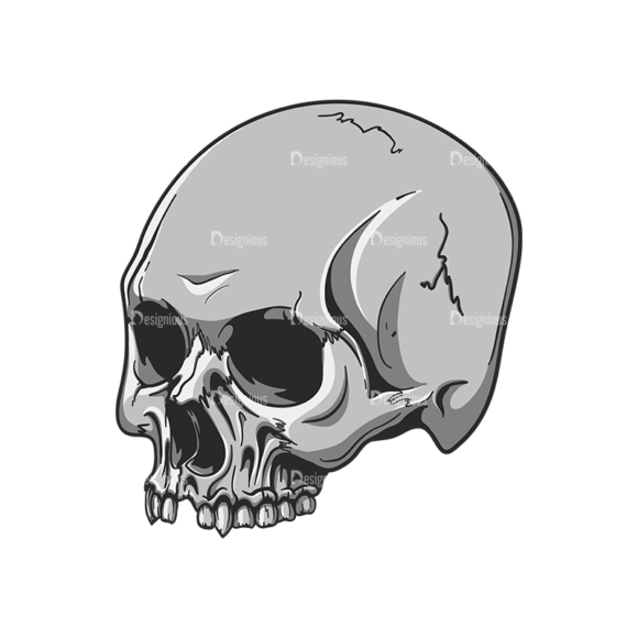Skull Vector Clipart 20-6 1