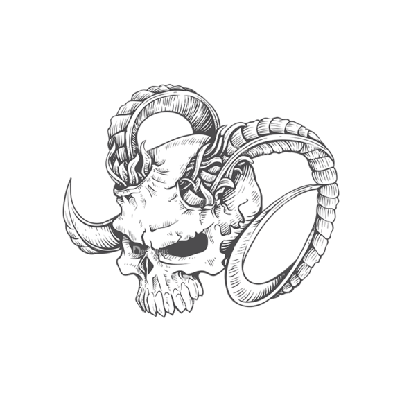 Skull Vector Clipart 23-2 1