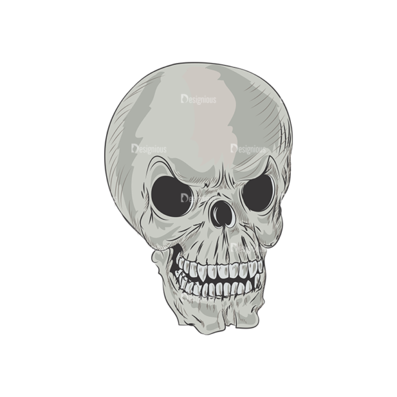 Skull Vector Clipart 3-5 1