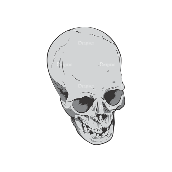 Skull Vector Clipart 6-10 1