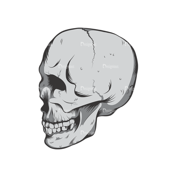 Skull Vector Clipart 6-2 1