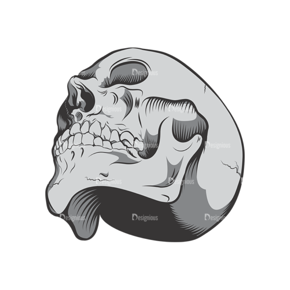 Skull Vector Clipart 6-4 1