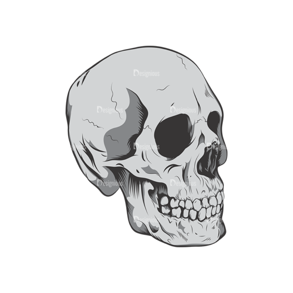 Skull Vector Clipart 6-8 1