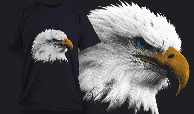 Bald Eagle - T-shirt Design Template 2524 - Designious